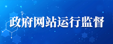 政府網站運行監(jiān)管